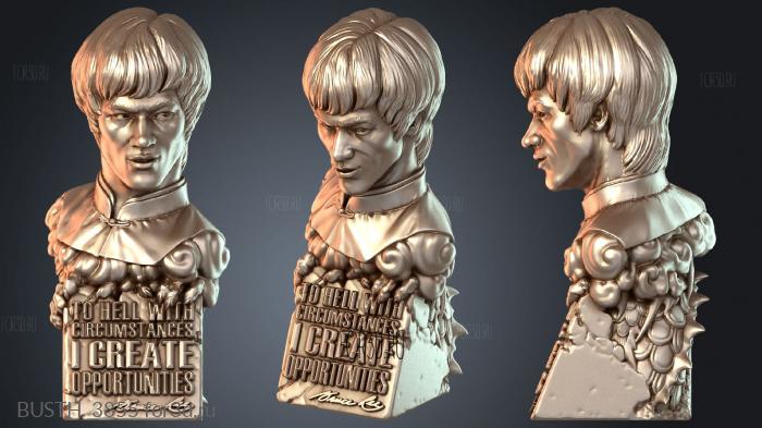 BUSTH_3855 3d stl модель для ЧПУ
