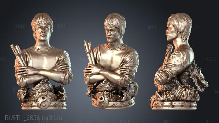 BUSTH_3856 3d stl модель для ЧПУ