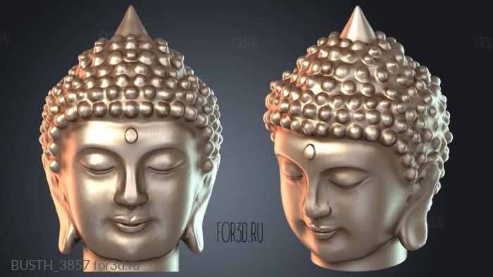 BUSTH_3857 3d stl модель для ЧПУ