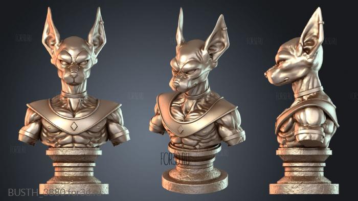 BUSTH_3880 3d stl модель для ЧПУ