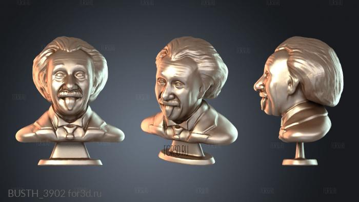 BUSTH_3902 stl model for CNC