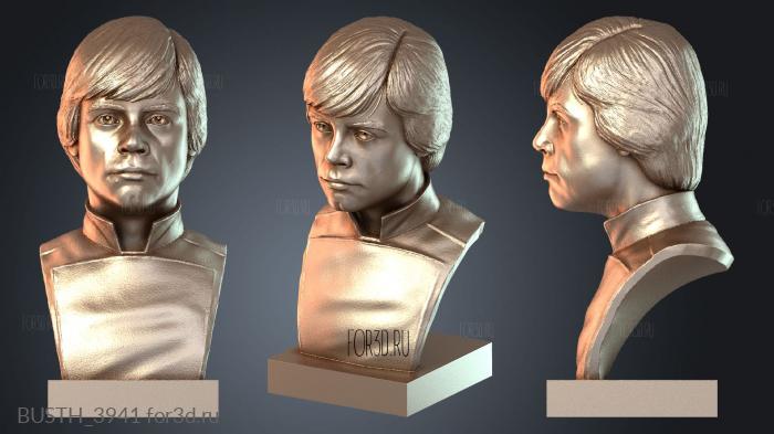 BUSTH_3941 stl model for CNC
