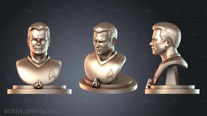 BUSTH_3960 3d stl модель для ЧПУ