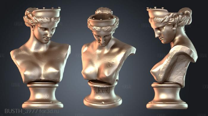 BUSTH_3977 3d stl модель для ЧПУ