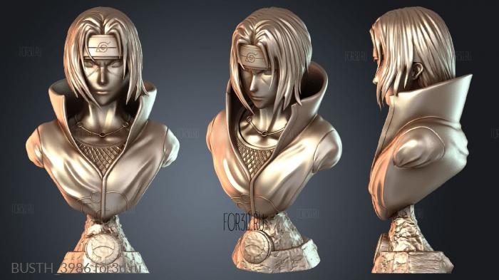 BUSTH_3986 3d stl модель для ЧПУ