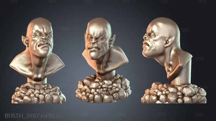 BUSTH_3987 3d stl модель для ЧПУ