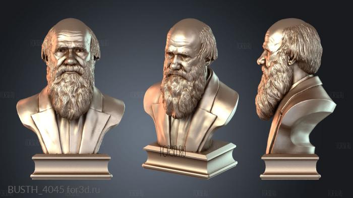 BUSTH_4045 3d stl модель для ЧПУ