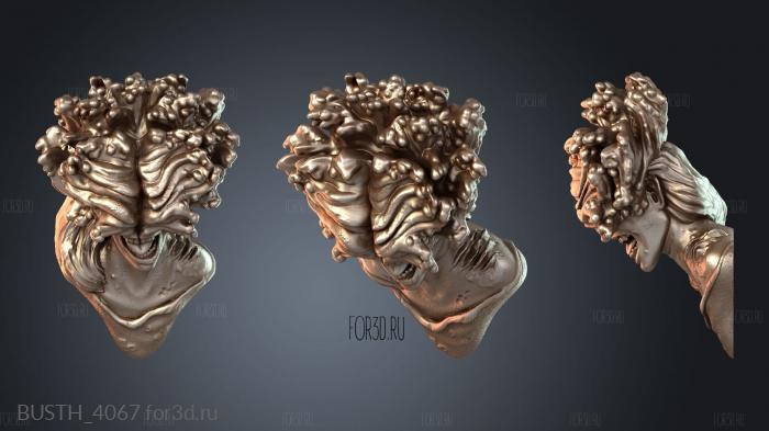 BUSTH_4067 3d stl модель для ЧПУ