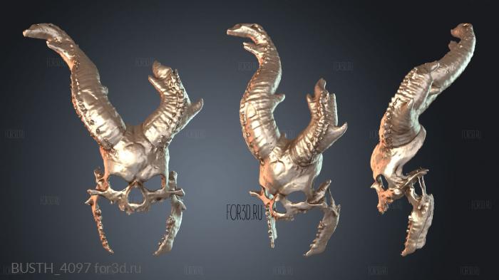 BUSTH_4097 3d stl модель для ЧПУ