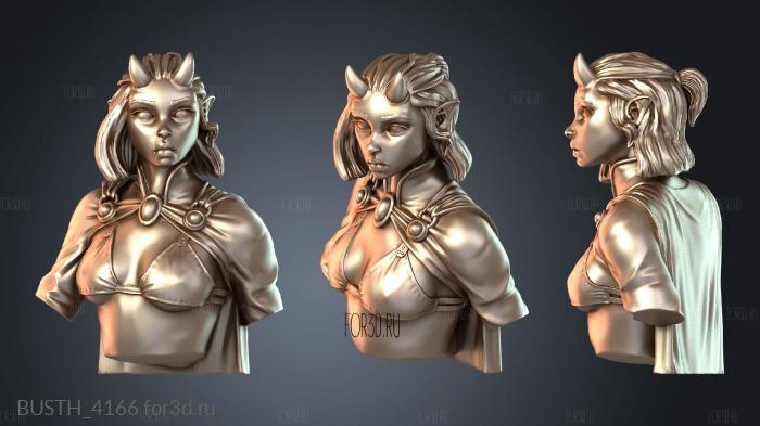 BUSTH_4166 3d stl модель для ЧПУ