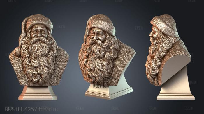 BUSTH_4257 3d stl модель для ЧПУ