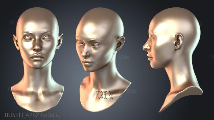 BUSTH_4262 3d stl модель для ЧПУ