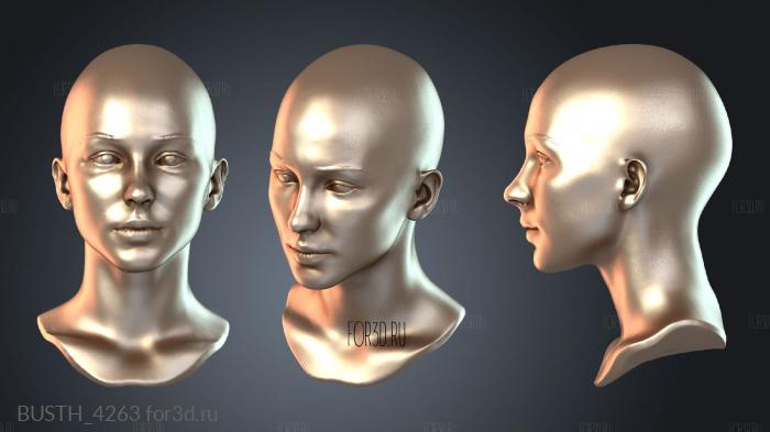 BUSTH_4263 3d stl модель для ЧПУ