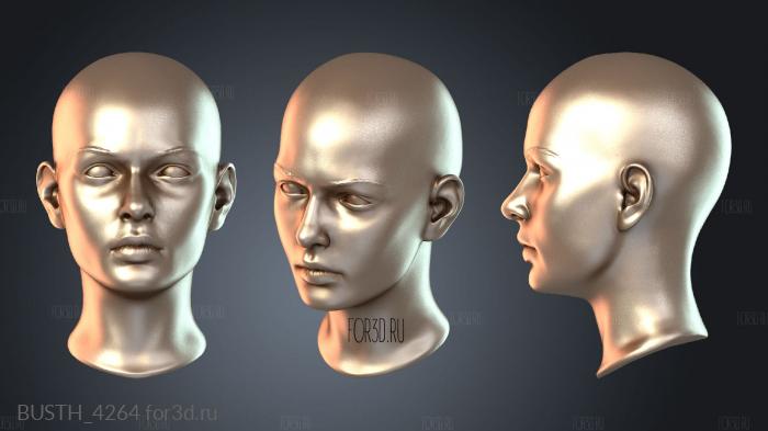 BUSTH_4264 3d stl модель для ЧПУ