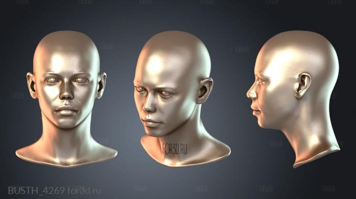BUSTH_4269 3d stl модель для ЧПУ