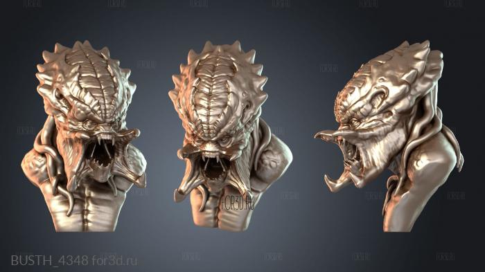 BUSTH_4348 3d stl модель для ЧПУ