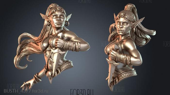 BUSTH_4377 3d stl модель для ЧПУ