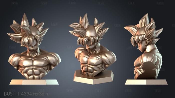 BUSTH_4394 3d stl модель для ЧПУ