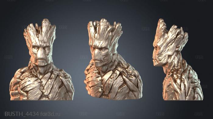 BUSTH_4434 3d stl модель для ЧПУ