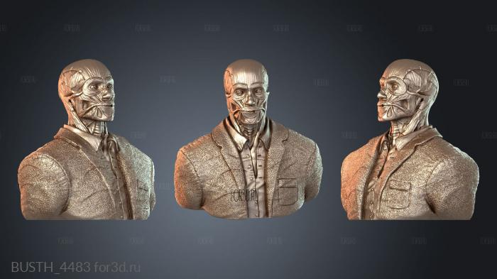 BUSTH_4483 3d stl модель для ЧПУ