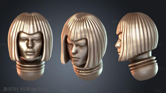 BUSTH_4530 3d stl модель для ЧПУ
