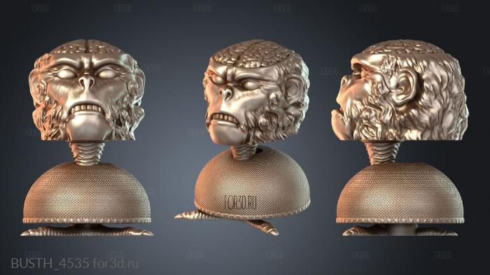 BUSTH_4535 3d stl модель для ЧПУ