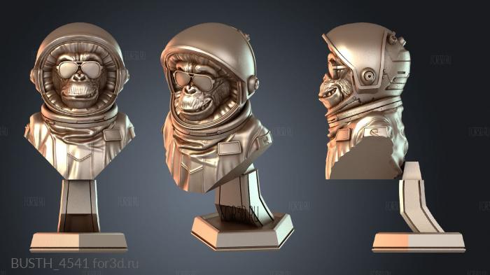 BUSTH_4541 3d stl модель для ЧПУ