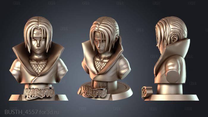 BUSTH_4557 3d stl модель для ЧПУ