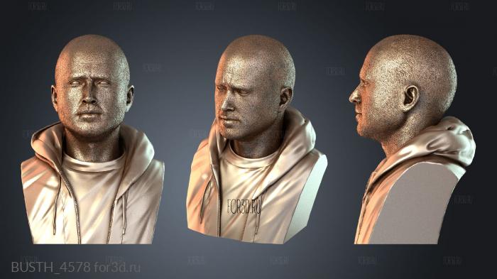 BUSTH_4578 3d stl модель для ЧПУ