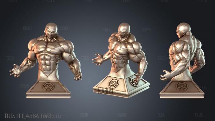 BUSTH_4586 3d stl модель для ЧПУ