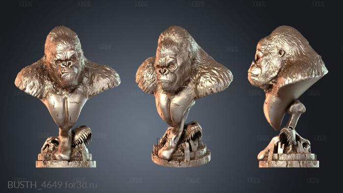 BUSTH_4649 3d stl модель для ЧПУ