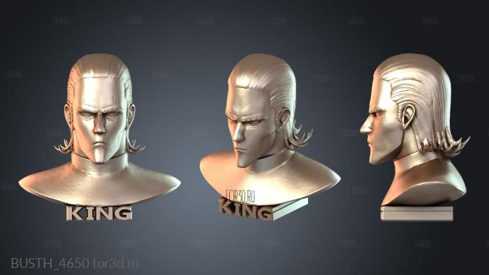 BUSTH_4650 3d stl модель для ЧПУ