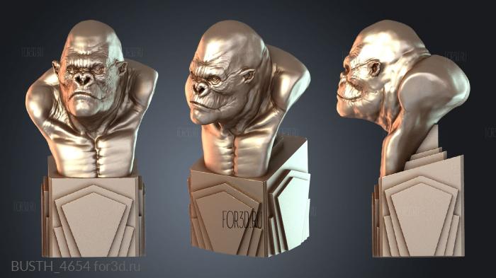 BUSTH_4654 3d stl модель для ЧПУ