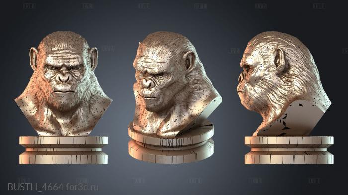 BUSTH_4664 3d stl модель для ЧПУ