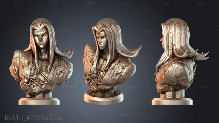 BUSTH_4725 3d stl модель для ЧПУ