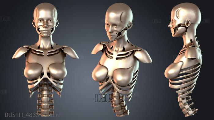 BUSTH_4833 3d stl модель для ЧПУ