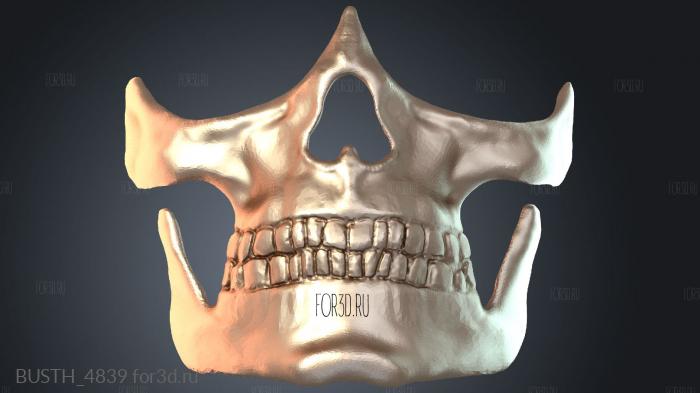 BUSTH_4839 3d stl модель для ЧПУ