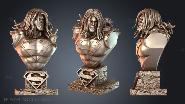 BUSTH_4871 3d stl модель для ЧПУ
