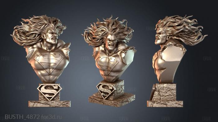 BUSTH_4872 3d stl модель для ЧПУ