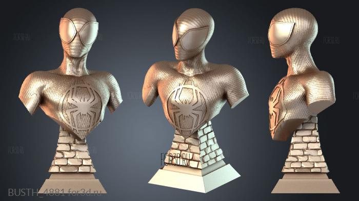 BUSTH_4881 3d stl модель для ЧПУ