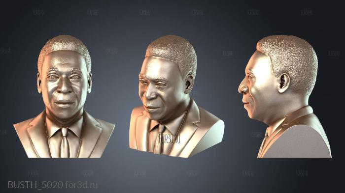 BUSTH_5020 3d stl модель для ЧПУ