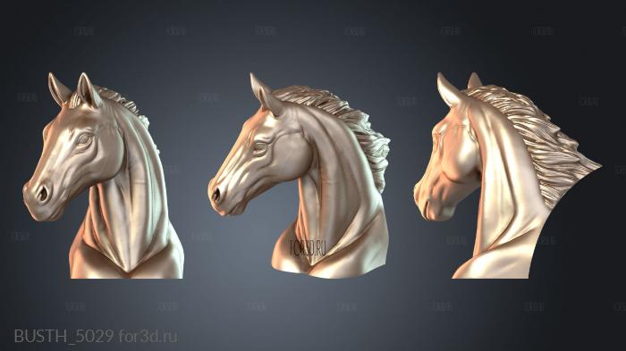 BUSTH_5029 3d stl модель для ЧПУ