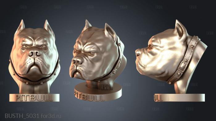BUSTH_5031 3d stl модель для ЧПУ