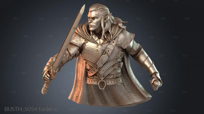 BUSTH_5054 3d stl модель для ЧПУ