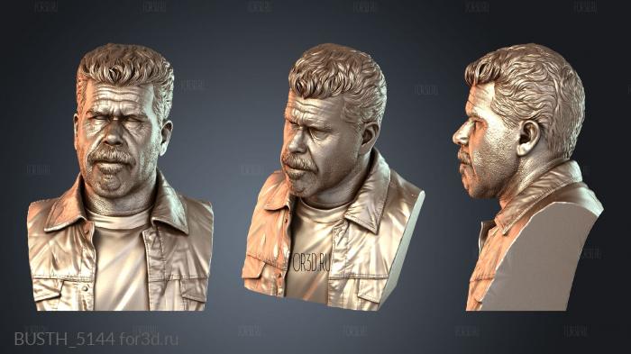BUSTH_5144 3d stl модель для ЧПУ