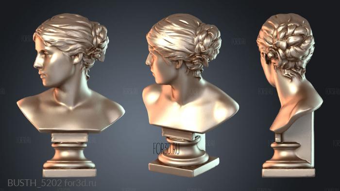 BUSTH_5202 3d stl модель для ЧПУ