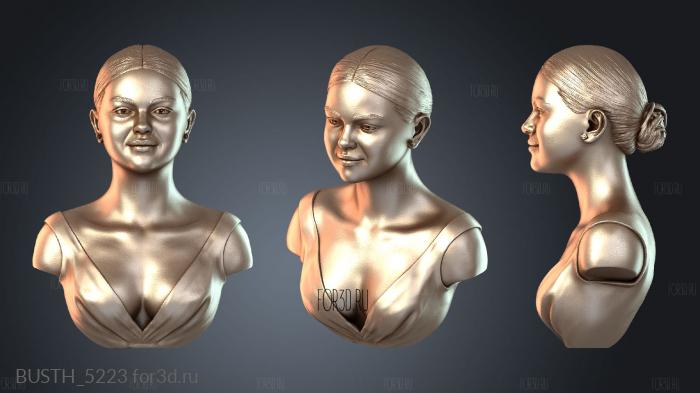 BUSTH_5223 3d stl модель для ЧПУ