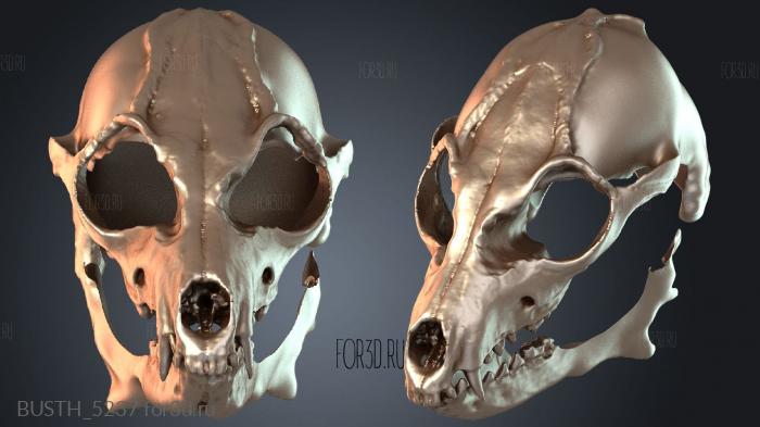 BUSTH_5237 3d stl модель для ЧПУ