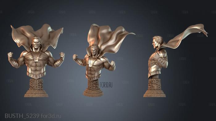 BUSTH_5239 3d stl модель для ЧПУ