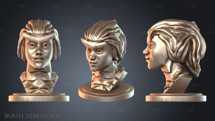 BUSTH_5244 3d stl модель для ЧПУ